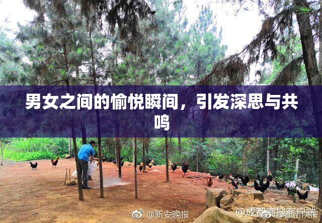 男女之间的愉悦瞬间，引发深思与共鸣
