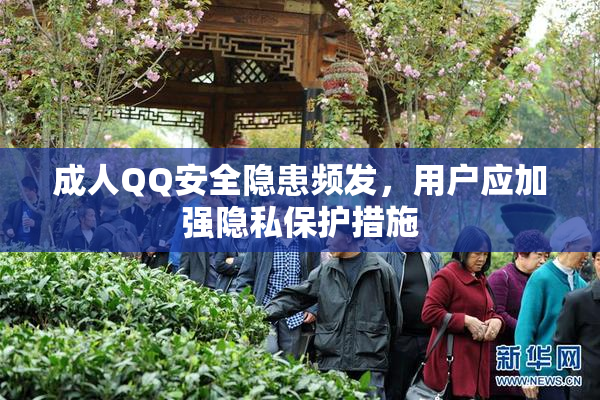 成人QQ安全隐患频发，用户应加强隐私保护措施