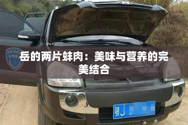 岳的两片蚌肉：美味与营养的完美结合