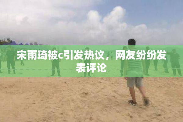 宋雨琦被c引发热议，网友纷纷发表评论