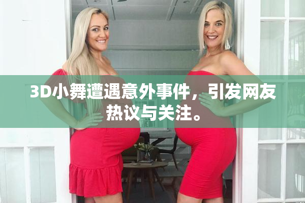 3D小舞遭遇意外事件，引发网友热议与关注。