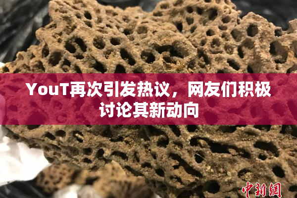 YouT再次引发热议，网友们积极讨论其新动向