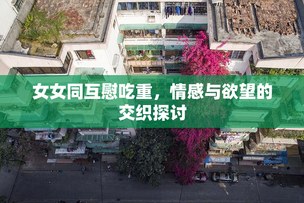女女同互慰吃重，情感与欲望的交织探讨