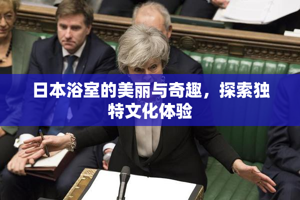 日本浴室的美丽与奇趣，探索独特文化体验