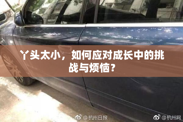 丫头太小，如何应对成长中的挑战与烦恼？