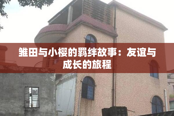 雏田与小樱的羁绊故事：友谊与成长的旅程