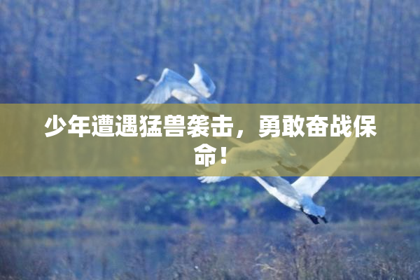 少年遭遇猛兽袭击，勇敢奋战保命！