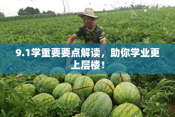 9.1学重要要点解读，助你学业更上层楼！