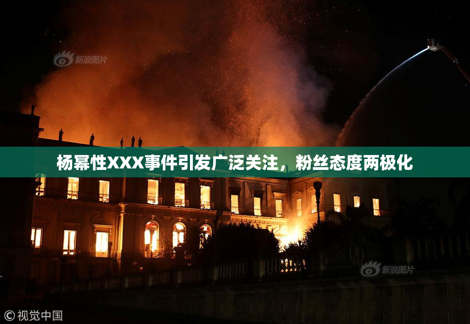 杨幂性XXX事件引发广泛关注，粉丝态度两极化