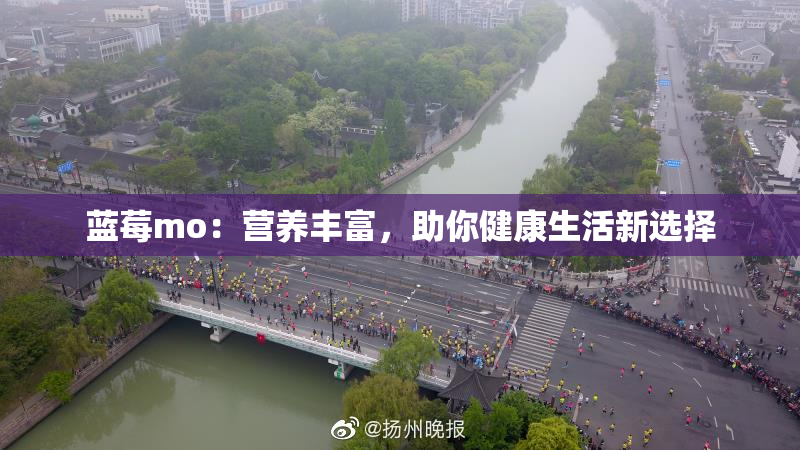 蓝莓mo：营养丰富，助你健康生活新选择