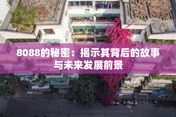 8088的秘密：揭示其背后的故事与未来发展前景