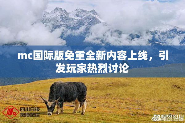 mc国际版免重全新内容上线，引发玩家热烈讨论