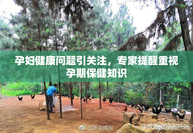 孕妇健康问题引关注，专家提醒重视孕期保健知识