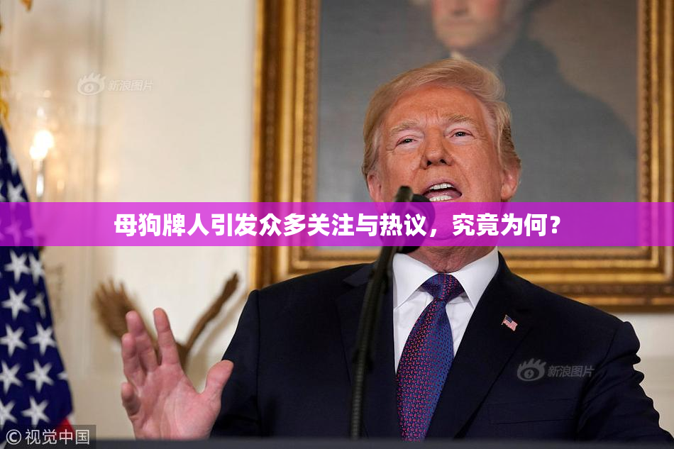 母狗牌人引发众多关注与热议，究竟为何？