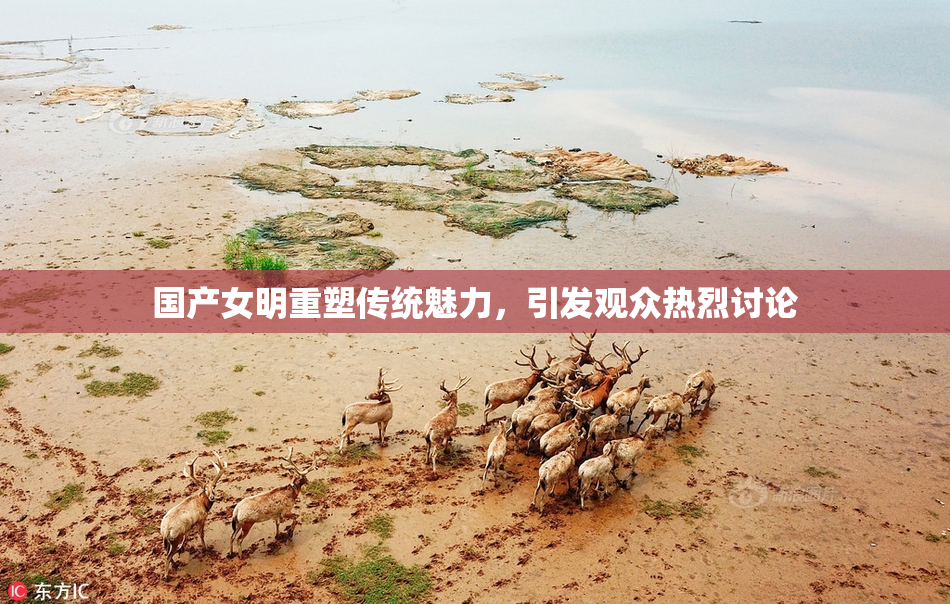 国产女明重塑传统魅力，引发观众热烈讨论