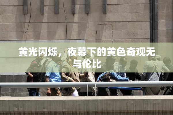 黄光闪烁，夜幕下的黄色奇观无与伦比