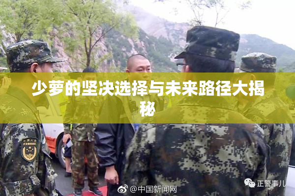 少萝的坚决选择与未来路径大揭秘