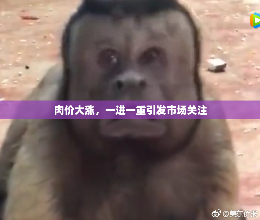 肉价大涨，一进一重引发市场关注
