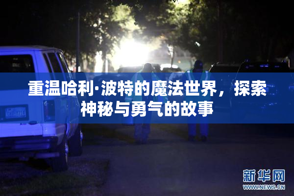 重温哈利·波特的魔法世界，探索神秘与勇气的故事