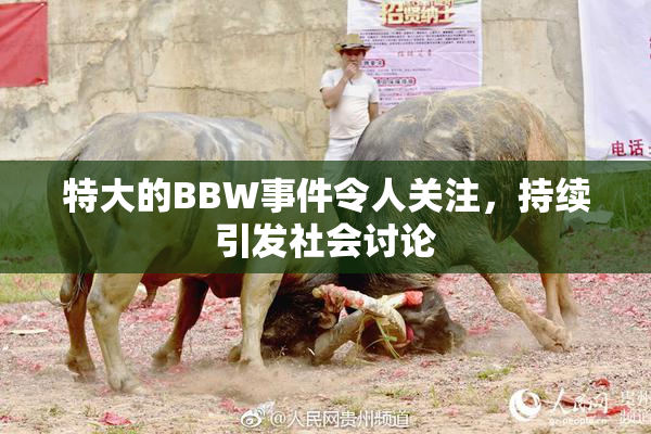 特大的BBW事件令人关注，持续引发社会讨论