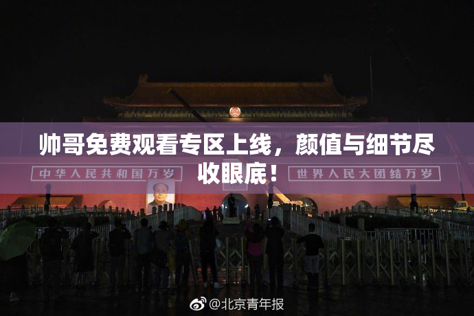 帅哥免费观看专区上线，颜值与细节尽收眼底！