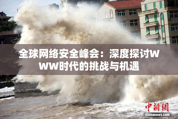 全球网络安全峰会：深度探讨WWW时代的挑战与机遇