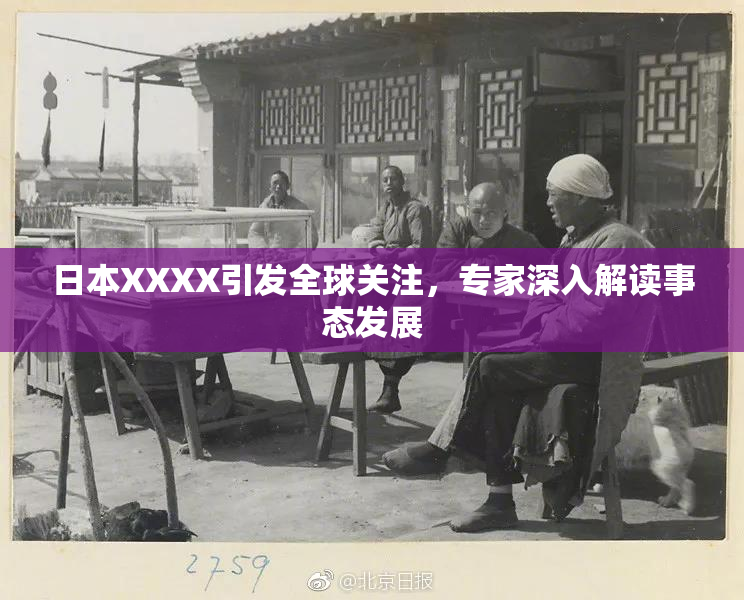 日本XXXX引发全球关注，专家深入解读事态发展