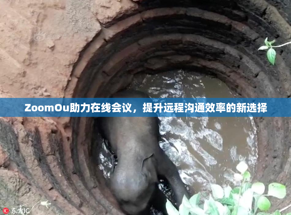 ZoomOu助力在线会议，提升远程沟通效率的新选择