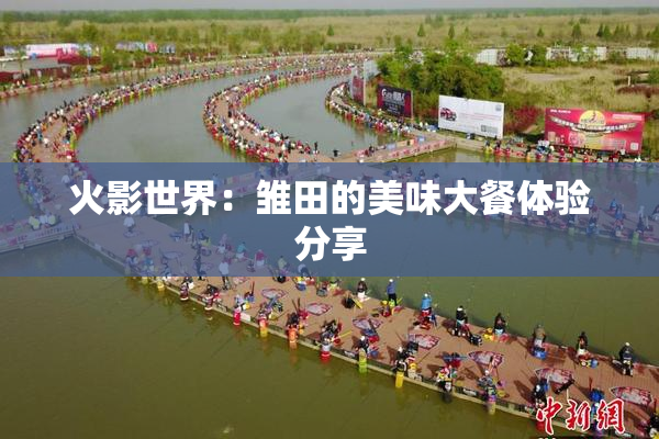 火影世界：雏田的美味大餐体验分享