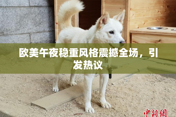 欧美午夜稳重风格震撼全场，引发热议