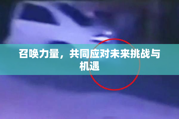 召唤力量，共同应对未来挑战与机遇