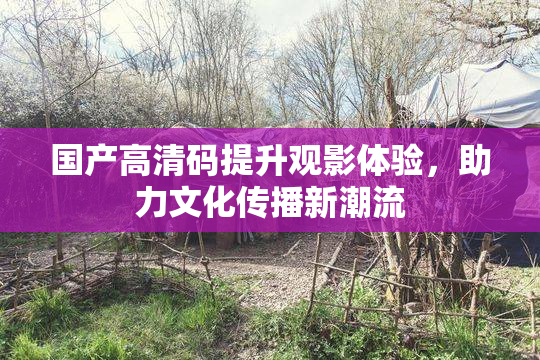 国产高清码提升观影体验，助力文化传播新潮流