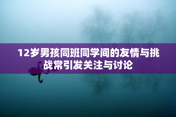 12岁男孩同班同学间的友情与挑战常引发关注与讨论
