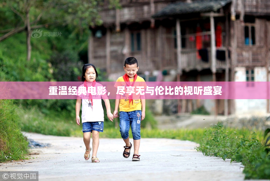 重温经典电影，尽享无与伦比的视听盛宴