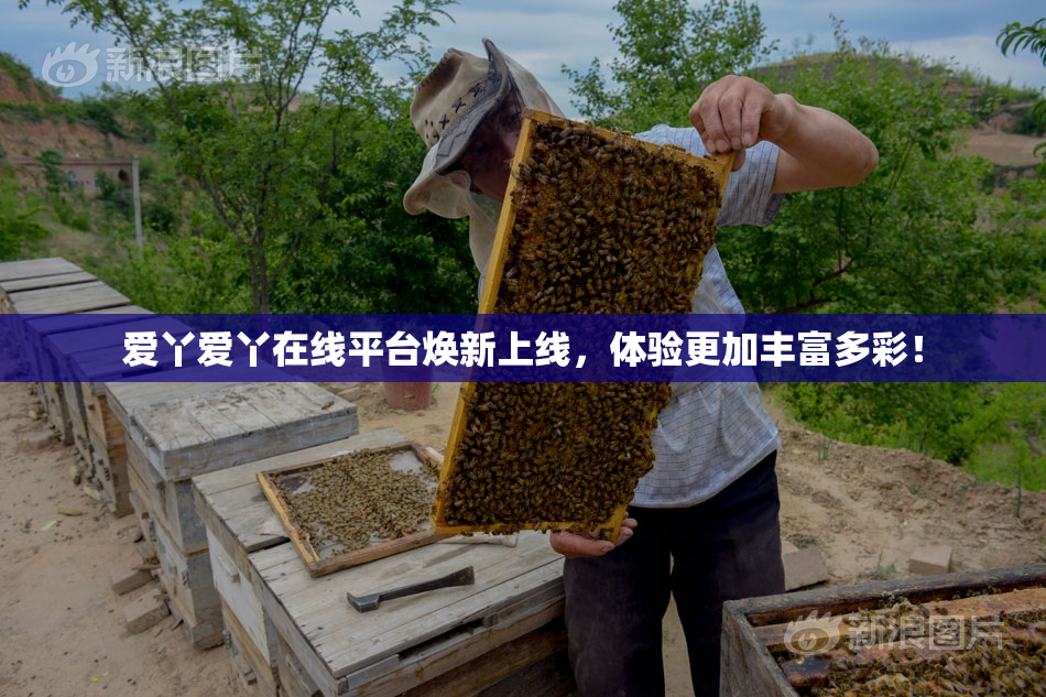 爱丫爱丫在线平台焕新上线，体验更加丰富多彩！