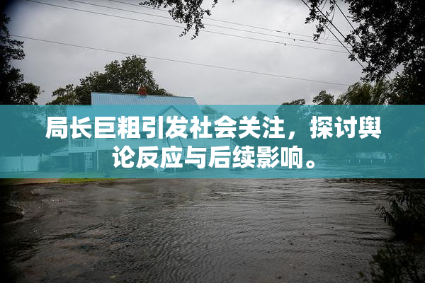 局长巨粗引发社会关注，探讨舆论反应与后续影响。
