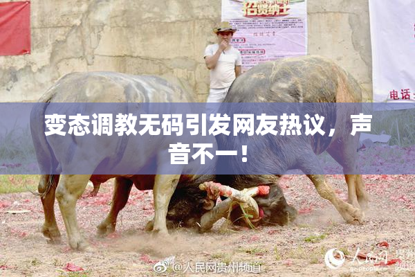 变态调教无码引发网友热议，声音不一！