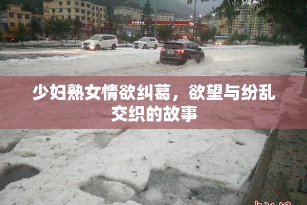 少妇熟女情欲纠葛，欲望与纷乱交织的故事