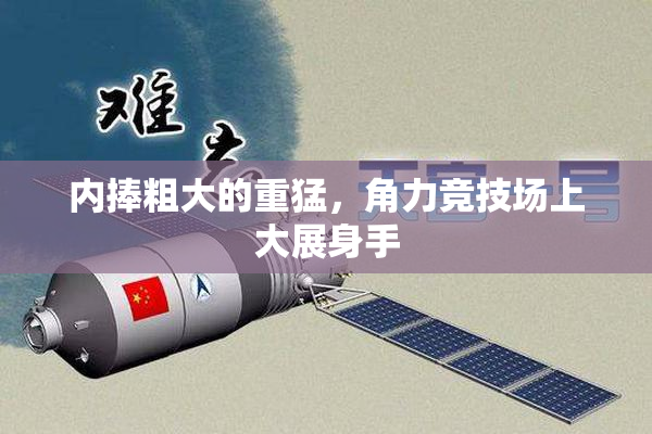 内捧粗大的重猛，角力竞技场上大展身手