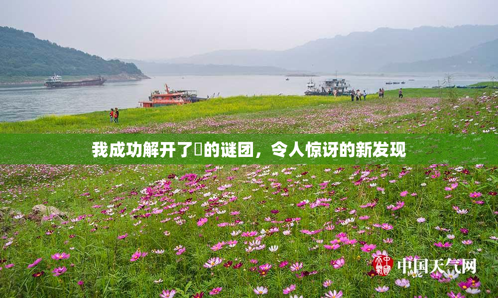 我成功解开了妺的谜团，令人惊讶的新发现