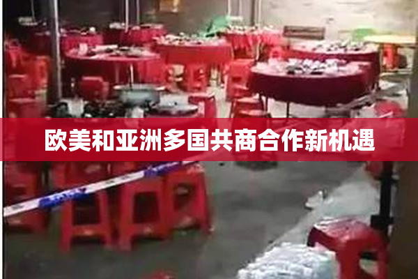欧美和亚洲多国共商合作新机遇
