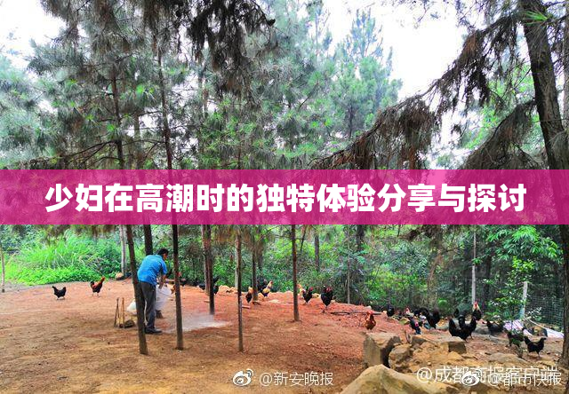 少妇在高潮时的独特体验分享与探讨