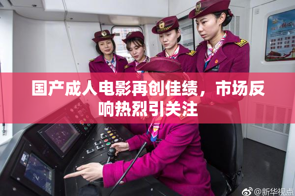 国产成人电影再创佳绩，市场反响热烈引关注