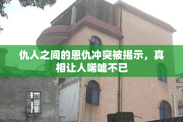 仇人之间的恩仇冲突被揭示，真相让人唏嘘不已