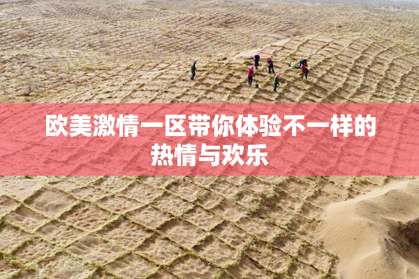 欧美激情一区带你体验不一样的热情与欢乐