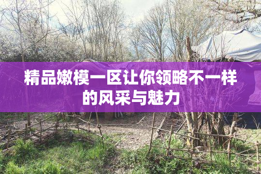 精品嫩模一区让你领略不一样的风采与魅力
