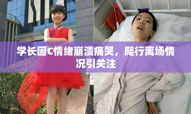 学长因C情绪崩溃痛哭，爬行离场情况引关注