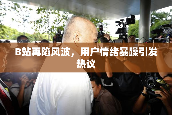 B站再陷风波，用户情绪暴躁引发热议