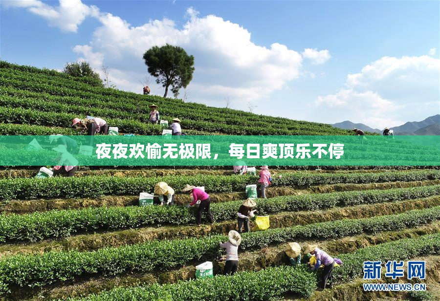 夜夜欢愉无极限，每日爽顶乐不停