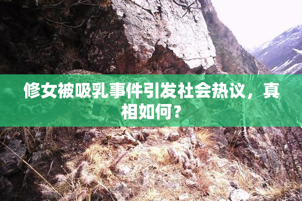 修女被吸乳事件引发社会热议，真相如何？
